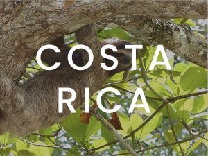 Costa Rica marketing content