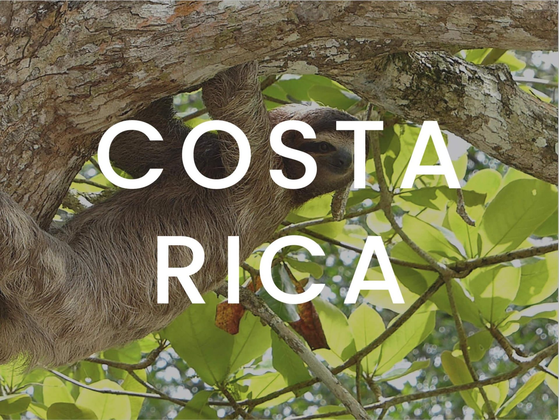 Costa Rica marketing content