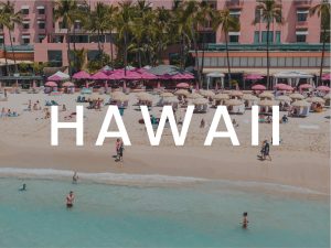 Hawaii marketing content bundle