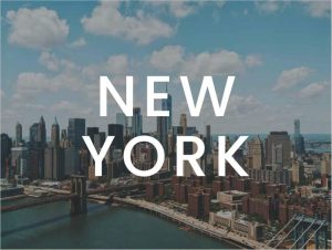 New York Marketing Content Bundle