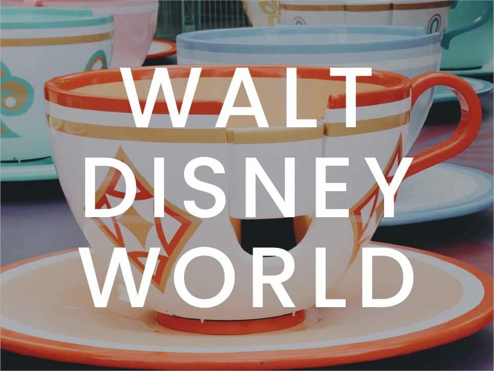 Disney World Marketing Content