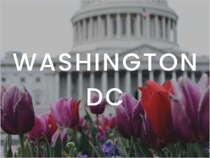 Washington DC marketing content