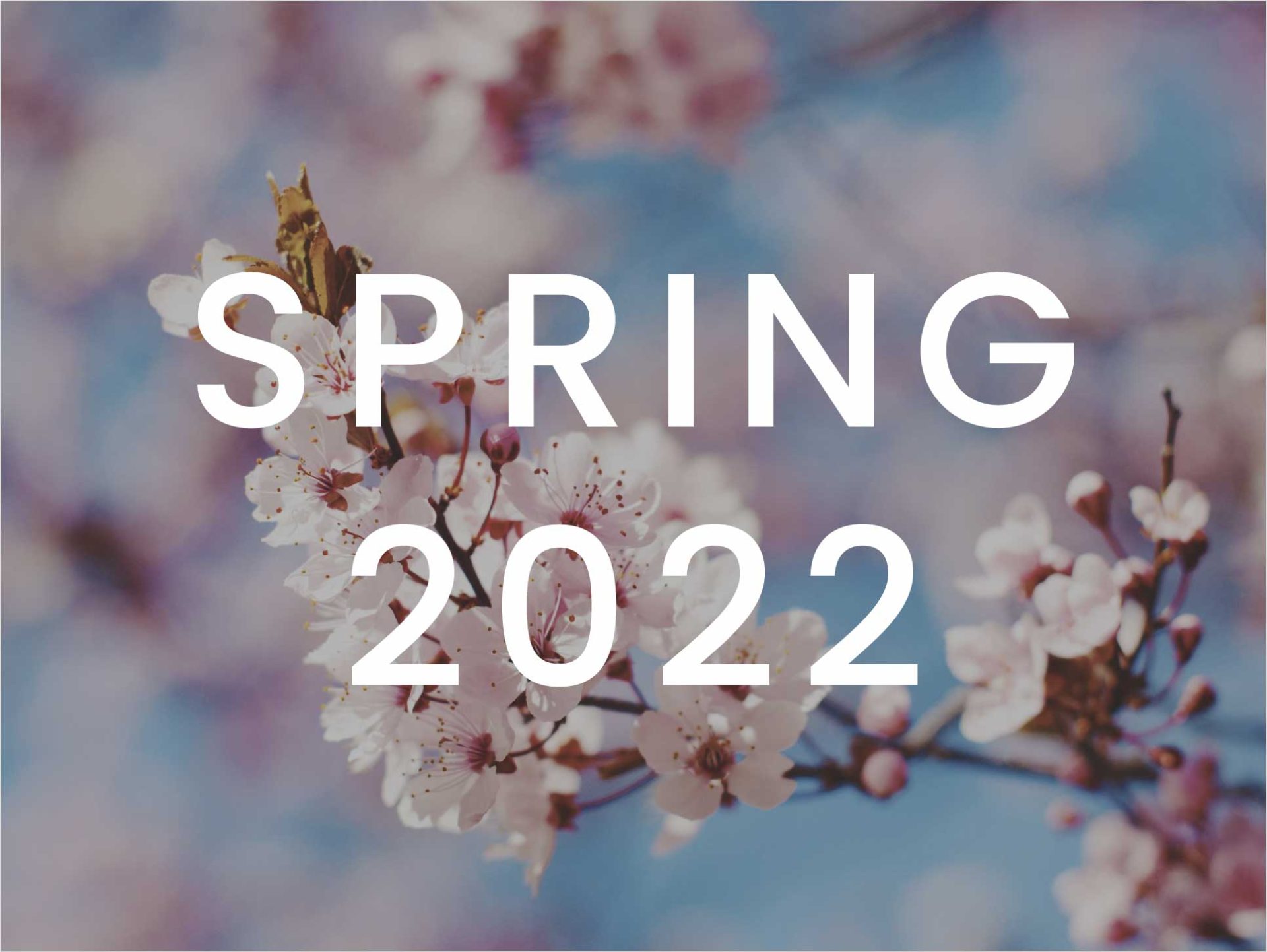 Spring travel marketing