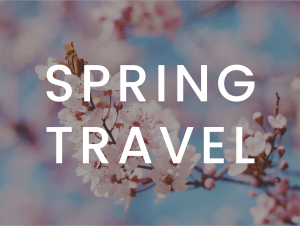 Spring Travel Marketing Content Bundle