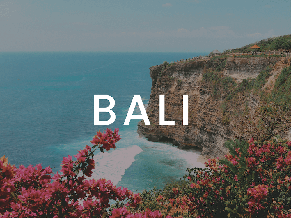 Bali Marketing Bundle