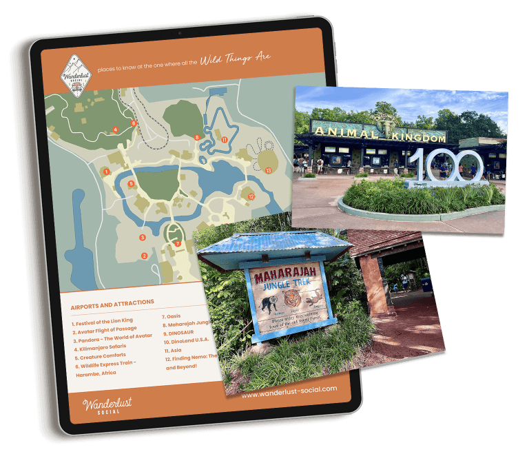 Disney Animal Kingdom Travel Marketing