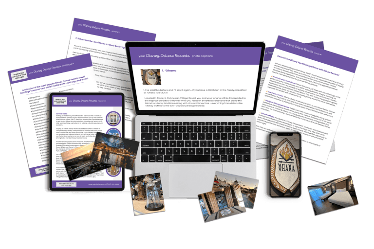 Disney Deluxe Resort Marketing Bundle