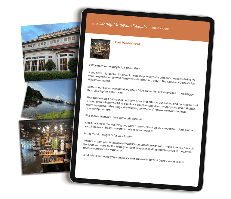 Disney Florida Moderate Resorts for Travel Agencies
