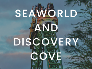 The SeaWorld and Discovery Cove marketing content bundle includes done-for-you content for travel professionals.