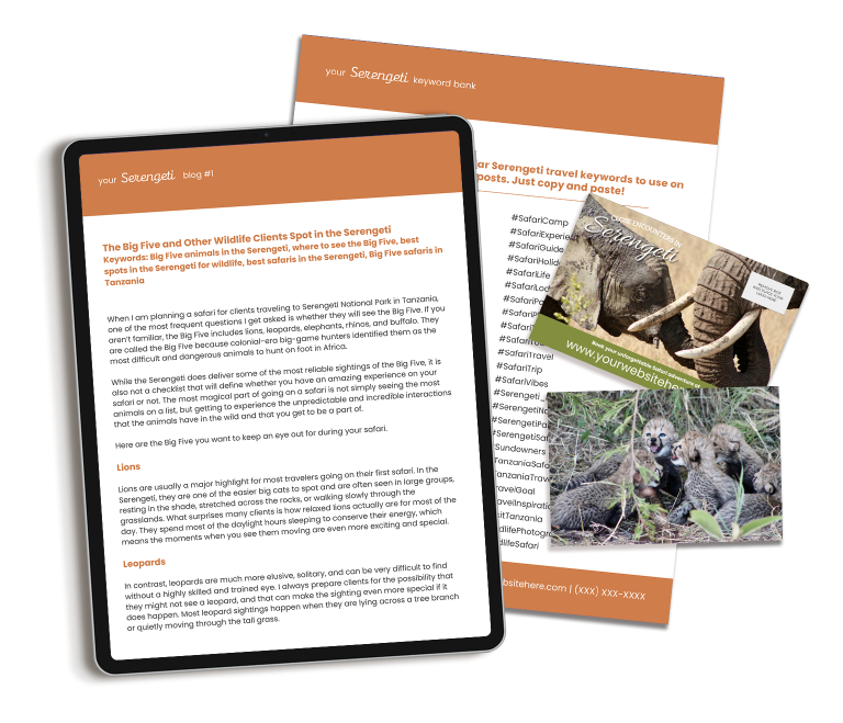 Our Serengeti marketing content includes done-for-you content for travel agency owners.