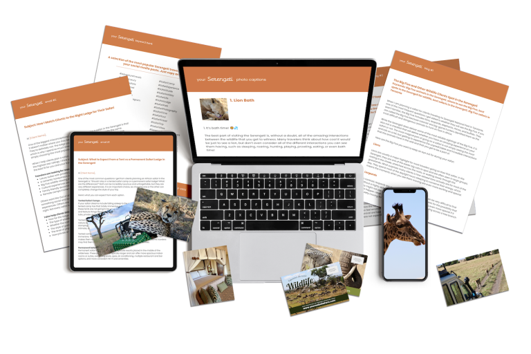 Our Serengeti marketing content includes done-for-you content for travel agency owners.