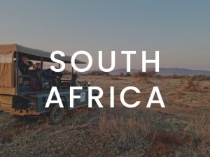 South Africa marketing content for travel professionals
